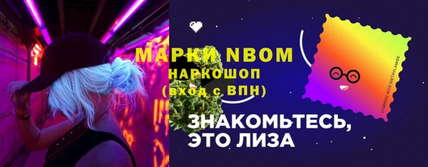 сатива Бородино