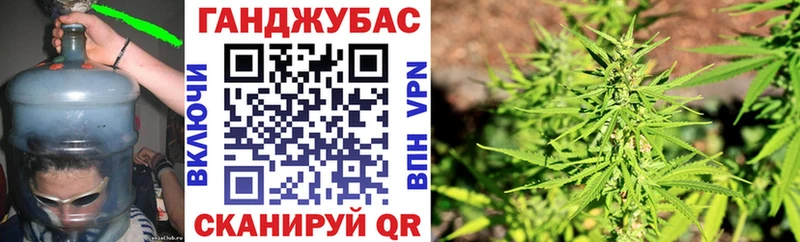 hydra сайт  Новоржев  Канабис Bruce Banner  магазин  наркотиков 